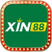 xin88s profile image