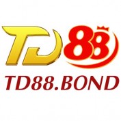 td88build profile image