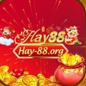 hay88org profile image