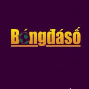 bongdaso668com profile image