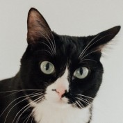 Julia32 profile image