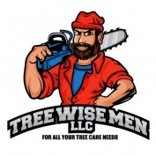 TreeWiseMen-LLC profile image