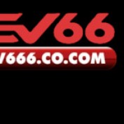 sv666cocom profile image