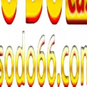 sodo66acvn profile image