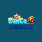 banca300dev profile image