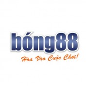 bong88vndev profile image