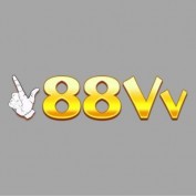 vvcomme88 profile image