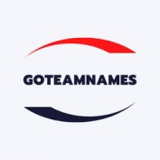 goteamnames profile image