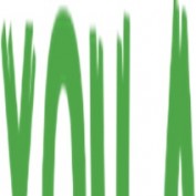xoilaczca profile image