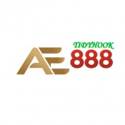 ae888tidyhook profile image
