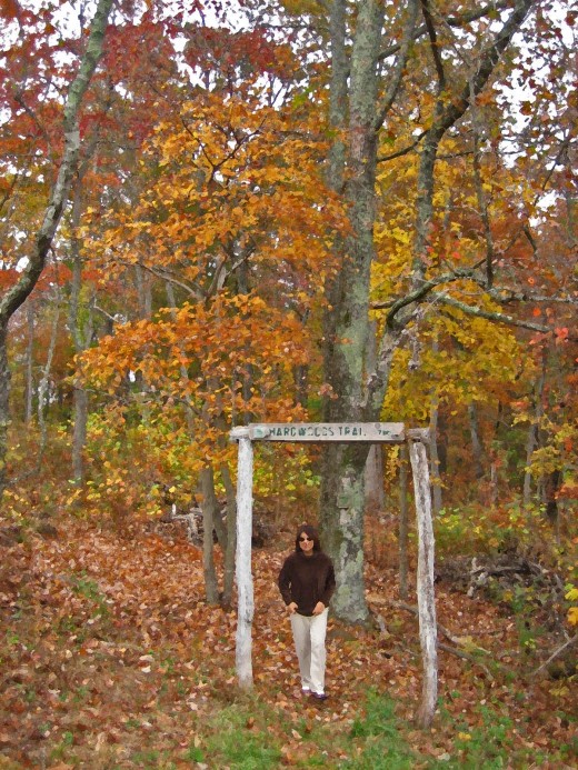 Hardwood Trails