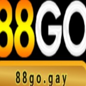 vn88gogay profile image