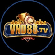 vnd88tv profile image