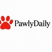 pawlydaily profile image