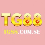 tgcomse profile image