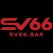 sv66bar profile image