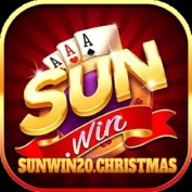 sunwin20christmas profile image