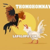thomohomnaylapalopa profile image