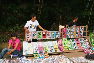 Local people sell souvenirs, they get advantage of the presence of Bantimurung Bulusaraung National Park in Celebes.
