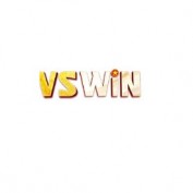 vswinvncom profile image