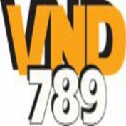 vnd789bio profile image