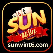 sunwint6com profile image