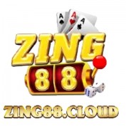 Zing88 profile image
