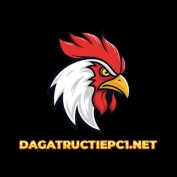 dagatructiepc12 profile image