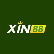 xin88feedback profile image