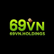 vnholdings69 profile image