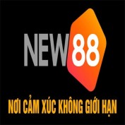 new8ycom profile image