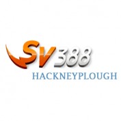 sv388hackne profile image