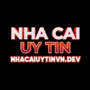 nhacaiuytinvndev profile image