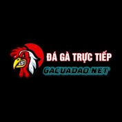 gacuadaonet profile image