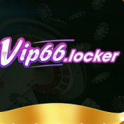 vip66locker profile image