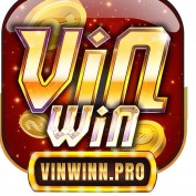 vinwinnpro profile image