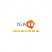 new88vnnewss profile image