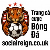 socialreigncouk profile image