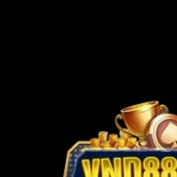 VND88 Actor profile image