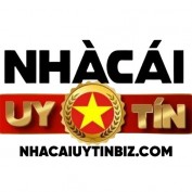 nhacaiuytinbiz1 profile image