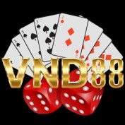 VND 88 profile image