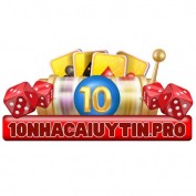 nhacaiuytinpro10 profile image