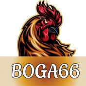boga66casino profile image