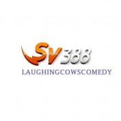 sv388laughing profile image