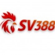nhacaisv388website profile image