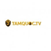 tamquoc1link profile image