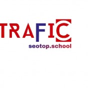dvtrafficseotop profile image