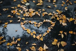Love Letters To No One #2