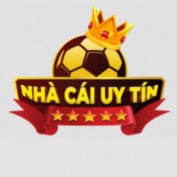 nhacaiuytinsus profile image