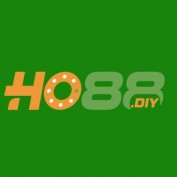 ho88diy profile image